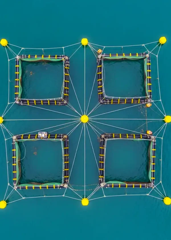 Drone profissional da Dronie Views em operação de monitorização de aquacultura com drones sobre estruturas marítimas